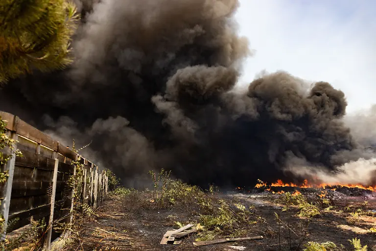 Firefighters-are-attempting-to-extinguish-burning-buildings-and-houses-in-Le-Porge-on-July-24-2026-Firefighters-work-to-extinguish-buildings-and-homes-engulfed-in-flames-in-Le-Porge-southwestern-France-on-July-24-2026-Emergency-crews-were-deployed-to-combat-the-fire-protect-surrounding-properties-and-prevent-the-blaze-from-spreading-as-operations-continued-GARCIASOPHIE-sipa