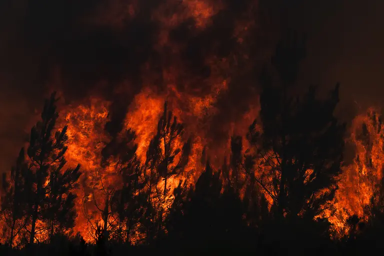 Several-wildfires-are-currently-burning-with-around-1500-firefighters-and-military-reinforcements-deployed-around-the-clock-Fueled-by-hot-dry-and-windy-weather-conditions-the-fires-have-forced-more-than-167000-people-to-evacuate-in-the-Bordeaux-area-and-have-burned-over-32000-hectares-of-forest-Ares-France-July-25-2026-ACCORSINIJEANNE-INCENDIE