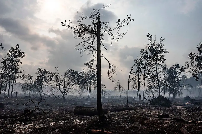 On-Saturday-a-major-wildfire-continued-to-spread-in-Biscarrosse-southwestern-France-causing-significant-damage-to-buildings-businesses-and-surrounding-woodland-Firefighters-remained-heavily-mobilized-on-the-ground-supported-by-Canadair-water-bombing-aircraft-carrying-out-repeated-aerial-drops-to-slow-the-fire-s-progression-and-stabilize-the-situation-Emergency-services-worked-throughout-the-day-to-protect-populated-areas-secure-affected-zones-and-prevent-the-flames-from-spreading-further-The-wildfire-prompted-extensive-firefighting-operations-as-authorities-monitored-the-evolving-conditions