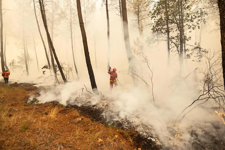 The-Paris-Fire-Brigade-intervenes-to-extinguish-a-forest-fire-in-the-Temple-and-Saumos-area-of-Gironde-France-on-July-24-2026-Photo-by-Gardelle-M-ANDBZ-ABACAPRESS