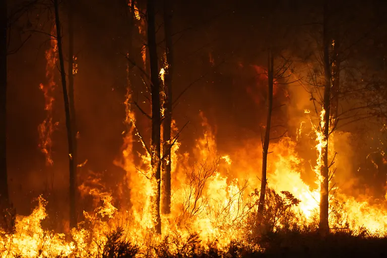 A-major-wildfire-broke-out-between-Cestas-and-Marcheprime-Strong-wind-gusts-and-intense-heat-significantly-hampered-firefighters-efforts-as-they-faced-the-fire-s-rapid-spread-The-forest-was-engulfed-in-flames-before-firefighters-succeeded-in-containing-the-blaze-Sunday-July-26-2026-ACCORSINIJEANNE-FIRE
