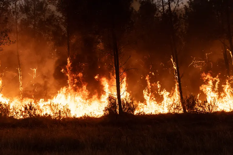 Firefighters-mobilize-to-contain-a-rapidly-spreading-forest-fire-fanned-by-strong-winds-in-L-OmbriA-re-Saint-Jean-d-Illac-Gironde-Nouvelle-Aquitaine-France-on-July-26-2026-as-flames-regain-intensity-and-threaten-nearby-areas-Photo-by-StA-phane-Duprat-ABACAPRESS