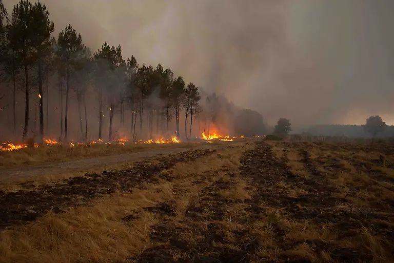 Cap-Ferret-Wildfires-Continue-to-Rages-in-the-Heart-of-the-Forest-Les-sapeurs-pompiers-etablissents-des-lignes-de-defense-pour-endigue-la-progession-des-incendies-MPP-MPP2708-Credit-Gengis-Quidu-MPP-SIPA-2607271758