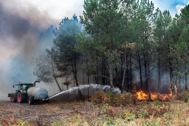 July-26-2026-Cestas-Nouvelle-Aquitaine-France-A-wall-of-flames-continues-to-ravage-the-Gironde-region-where-firefighters-are-racing-against-the-clock-Despite-an-unprecedented-mobilization-effort-the-fire-remains-a-threat-due-to-the-heat-and-wind