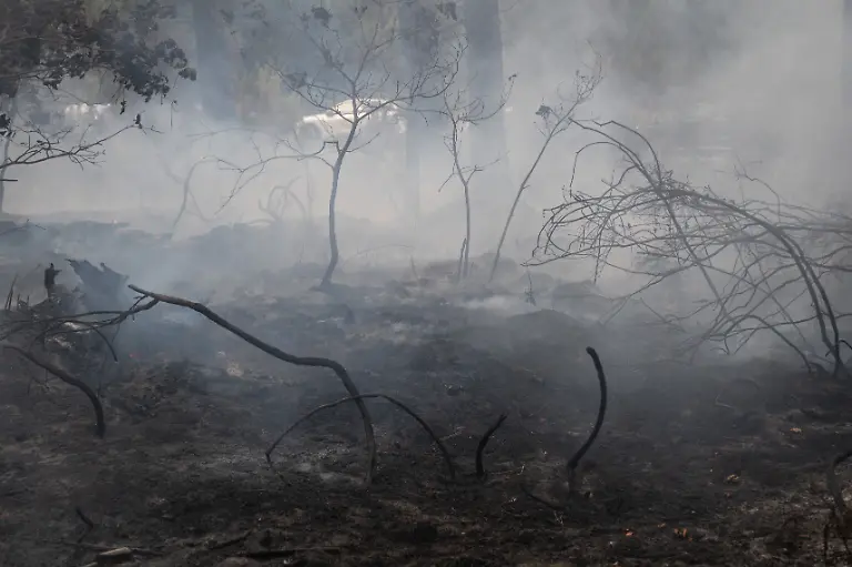 On-the-front-lines-of-the-Lege-Cap-Ferret-wildfire-crisis-emergency-crews-face-relentless-conditions-as-they-battle-widespread-blazes-threatening-the-region-The-ongoing-disaster-has-left-a-trail-of-devastation-across-local-forests-near-Bordeaux-forcing-mass-evacuations-and-posing-a-severe-challenge-to-firefighters-working-around-the-clock-to-secure-the-area-against-volatile-flare-ups