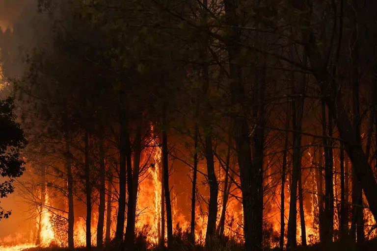 Firefighters-battle-a-forest-fire-in-the-Temple-and-Saumos-area-of-Gironde-France-on-July-26-2026-as-flames-spread-to-neighboring-parcels-during-a-flare-up-Photo-by-Gardelle-M-ANDBZ-ABACAPRESS