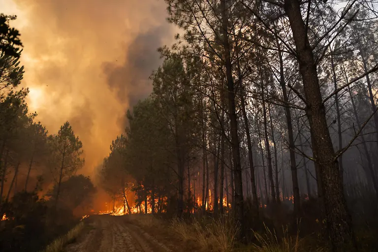 Firefighters-battle-a-forest-fire-in-the-Temple-and-Saumos-area-of-Gironde-France-on-July-26-2026-as-flames-spread-to-neighboring-parcels-during-a-flare-up-Photo-by-Gardelle-M-ANDBZ-ABACAPRESS