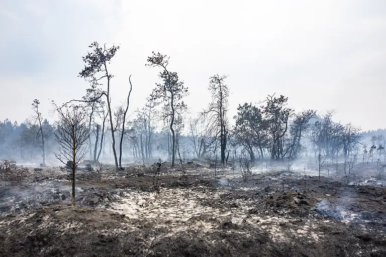 Burned-residential-properties-are-seen-after-the-passage-of-the-wildfire-smoke-continues-to-rise-from-the-affected-areas-as-firefighters-monitor-remaining-hotspots-in-LA-ge-France-on-July-27-2026-Photo-by-Margot-Le-Gonidec-ABACAPRESS