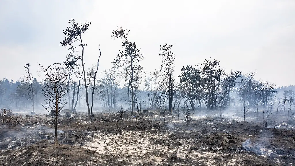 Burned-residential-properties-are-seen-after-the-passage-of-the-wildfire-smoke-continues-to-rise-from-the-affected-areas-as-firefighters-monitor-remaining-hotspots-in-LA-ge-France-on-July-27-2026-Photo-by-Margot-Le-Gonidec-ABACAPRESS