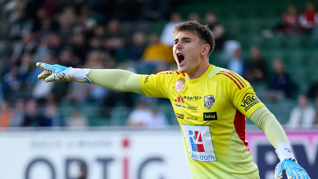 Nikolas-Polster