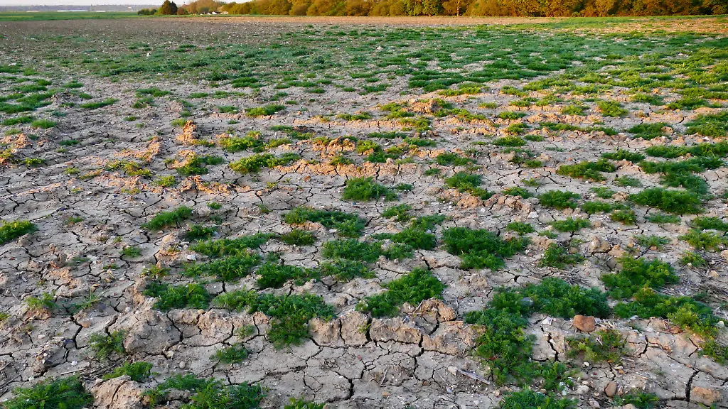 Cracked-ground-in-the-farmers-fields-as-of-mid-April-2026-As-of-late-March-2026-England-has-officially-recovered-from-the-previous-drought-status-following-four-months-of-above-average-rainfall-according-to-the-Environment-Agency-While-most-areas-are-in-recovery-or-back-to-normal-some-eastern-regions-of-England-still-face-lingering-dry-conditions-with-potential-risks-for-water-scarcity-in-early-summer-2026