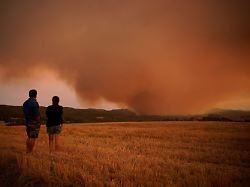 „Ära extremer Brandgefahr“: Waldbrandrisiko in Südeuropa hat sich seit 1981 verdoppelt