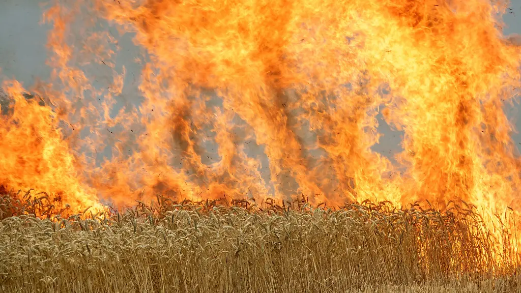 Ein-Brand-auf-einem-Feld-kann-sich-schnell-ausdehnen