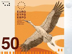 Designer von Euro-Vogelmotiven: "Geld spielt einfach eine riesige Rolle im Leben"