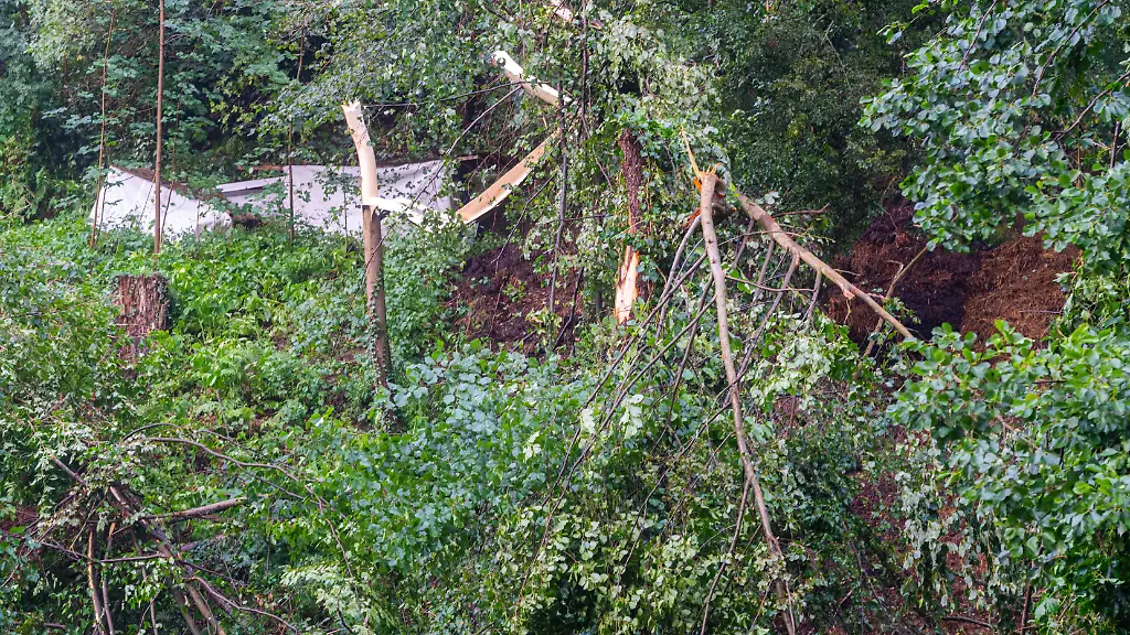 Ein-Baum-ist-abgebrochen-im-Bereich-der-Felsenbuehne-Rathen-Bei-einem-Unwetter-in-Sachsen-ist-ein-Mann-ums-Leben-gekommen-Er-sei-in-Rathen-von-einem-umgestuerzten-Baum-erschlagen-worden-sagte-ein-Polizeisprecher-Weitere-Details-waren-zunaechst-unklar