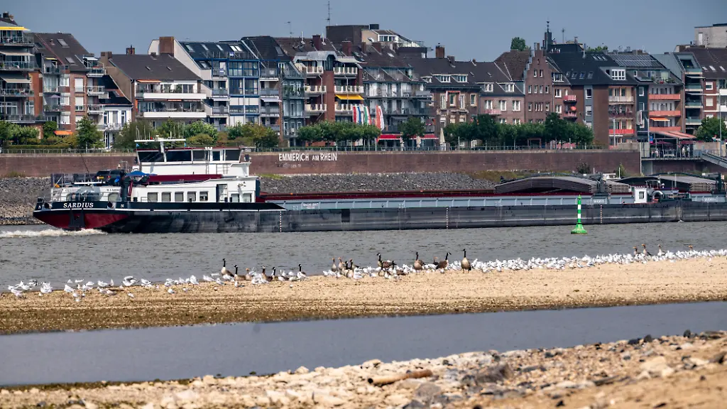 Rhein-bei-Emmerich-extremes-Niedrigwasser-Rheinpegel-bei-5-cm-Tendenz-fallend-Frachtschiffe-muessen-mit-z-T