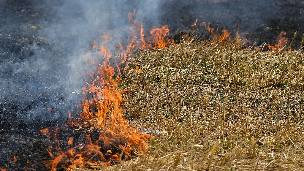 Die-Feuerwehr-konnte-die-Ausbreitung-der-Flammen-auf-dem-Stoppelfeld-in-Stutensee-verhindern