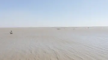 273231181