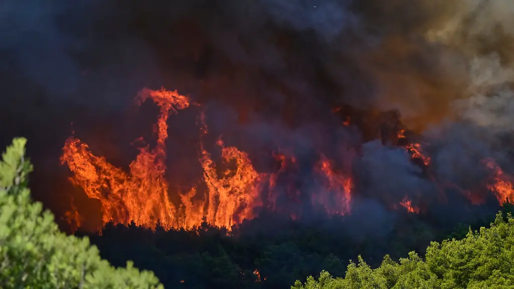Flames-burn-through-a-forest-during-a-wildfire-near-Porto-Germeno-northwest-of-Athens-Greece-Saturday-Aug-1-2026