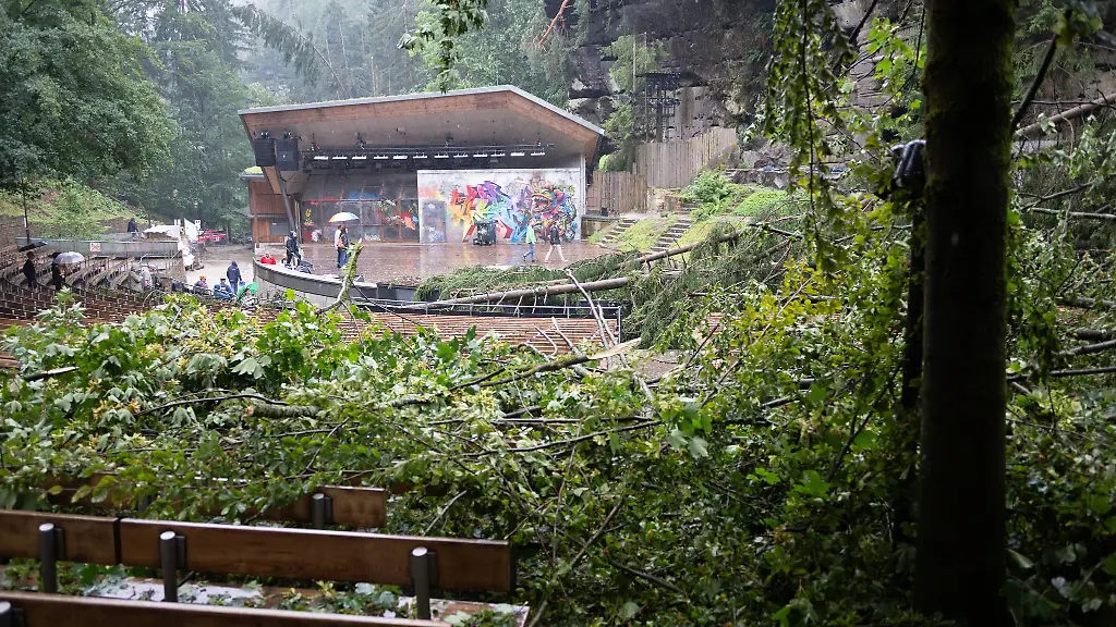 Bei-einem-Unwetter-stuerzten-zahlreiche-Baeume-um