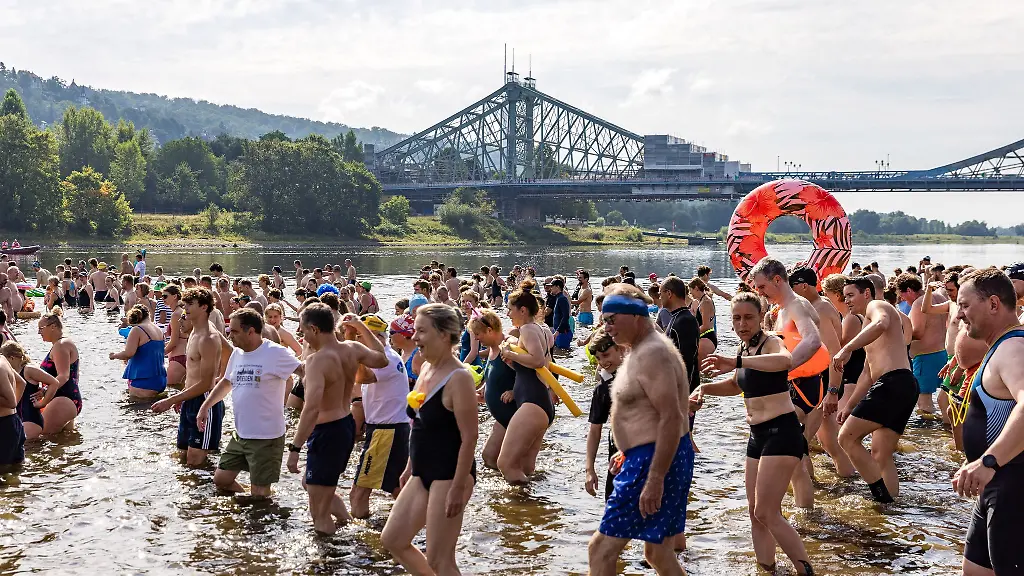 Hunderte-Schwimmer-stuerzten-sich-in-die-Elbe