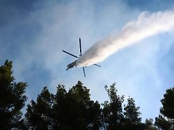 Insgesamt vier Insassen: Hubschrauber kollidieren bei Löscharbeiten nahe Athen und stürzen ab