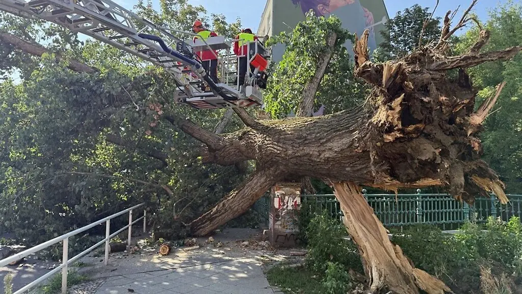 Die-Feuerwehr-zersaegt-den-Baum-und-macht-die-Strasse-wieder-frei