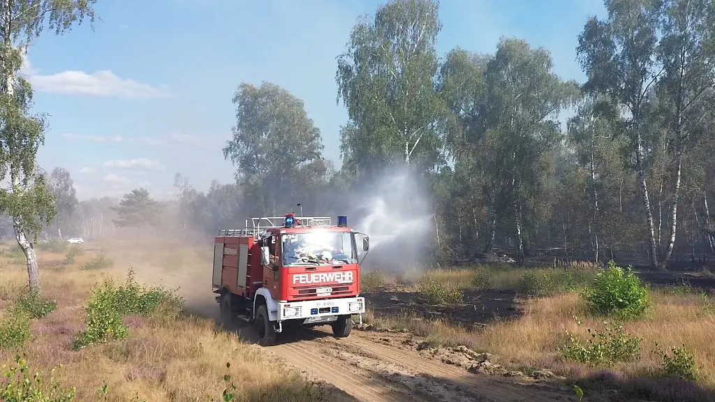 Brandenburg-gilt-in-Deutschland-als-Waldbrand-Hotspot