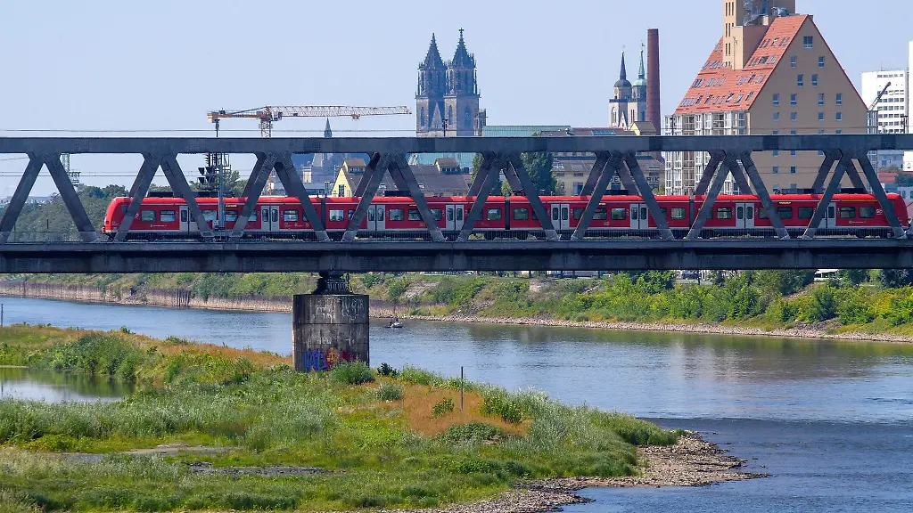 Die-durch-Magdeburg-fliessende-Elbe-fuehrt-aktuell-kaum-Wasser