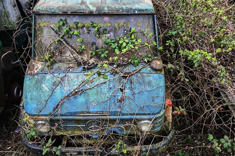 A-wrecked-Mercedes-Unimog-is-covered-with-shrubs-in-Bad-Vilbel-near-Frankfurt-Germany-Wednesday-March-25-2026