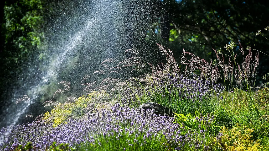 Vielerorts-sollte-der-Garten-nicht-mehr-gegossen-werden