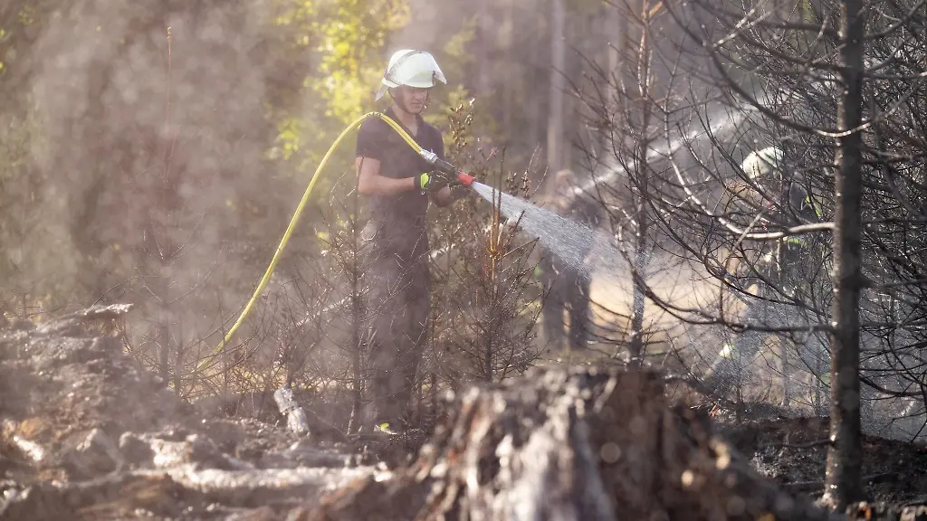 Niederschlaege-die-die-Waldbrandgefahr-bannen-sind-nicht-in-Sicht