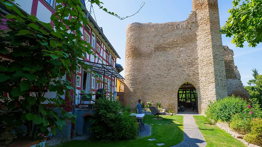 In-der-beeindruckenden-Schildmauer-brueten-Mauersegler-und-Falken