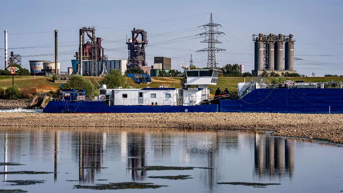 Rhine barely carries any water: IW fears zero growth due to low water ...