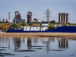 Rhein führt kaum noch Wasser: IW befürchtet Nullwachstum wegen Niedrigwasser