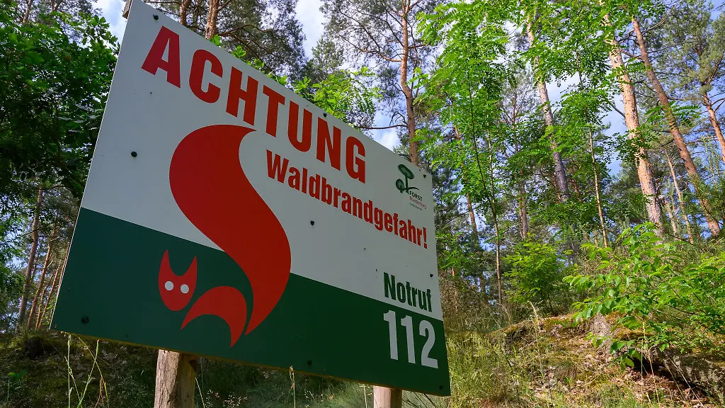 Die-Waldbrandgefahr-hat-sich-in-Brandenburg-im-bisherigen-Wochenverlauf-leicht-erhoeht