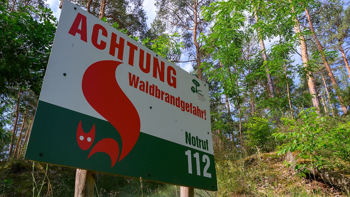 Berlin & BrandenburgMittlere Waldbrand-Warnstufe in fast allen Landkreisen