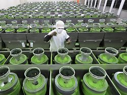 Suche nach neuen Märkten: Matcha-Boom beschert Japan Rekordhoch bei Lebensmittelexporten