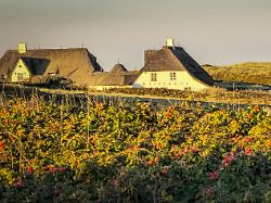 "Außergewöhnliche Entwicklung": Studie: Immobilienangebot auf Sylt versechsfacht sich