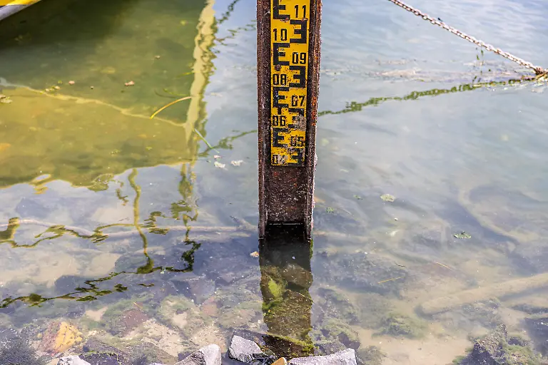 Historisches-Niedrigwasser-am-Rhein-Der-Pegel-Oberwinter-liegt-bei-nur-noch-7-cm-der-Grund-ist-deutlich-erkennbar-die-Pegellatte-selbst-ist-erst-ab-einem-Stand-von-40-cm-ablesbar-Zwischen-Oberwinter-und-Bonn-liegen-die-Pegelstaende-bei-7-cm-Oberwinter-und-80-cm-Bonn-Anhaltende-Trockenheit-und-eine-Hitzewelle-mit-Temperaturen-ueber-30-Grad-lassen-den-Rhein-weiter-sinken-die-Binnenschifffahrt-faehrt-nur-noch-mit-reduzierter-Ladung