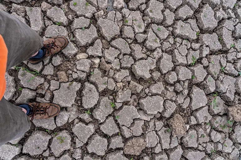 Vertrocknetes-Flussbett-bruechige-Schollen-am-Rhein-bei-Duisburg-Walsum-extremes-Niedrigwasser-Frachter-muessen-mit-reduzierter-Ladung-fahren-NRW-Deutschland