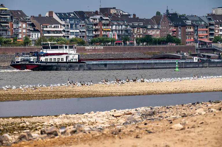 Rhein-bei-Emmerich-extremes-Niedrigwasser-Rheinpegel-bei-5-cm-Tendenz-fallend-Frachtschiffe-muessen-mit-z-T