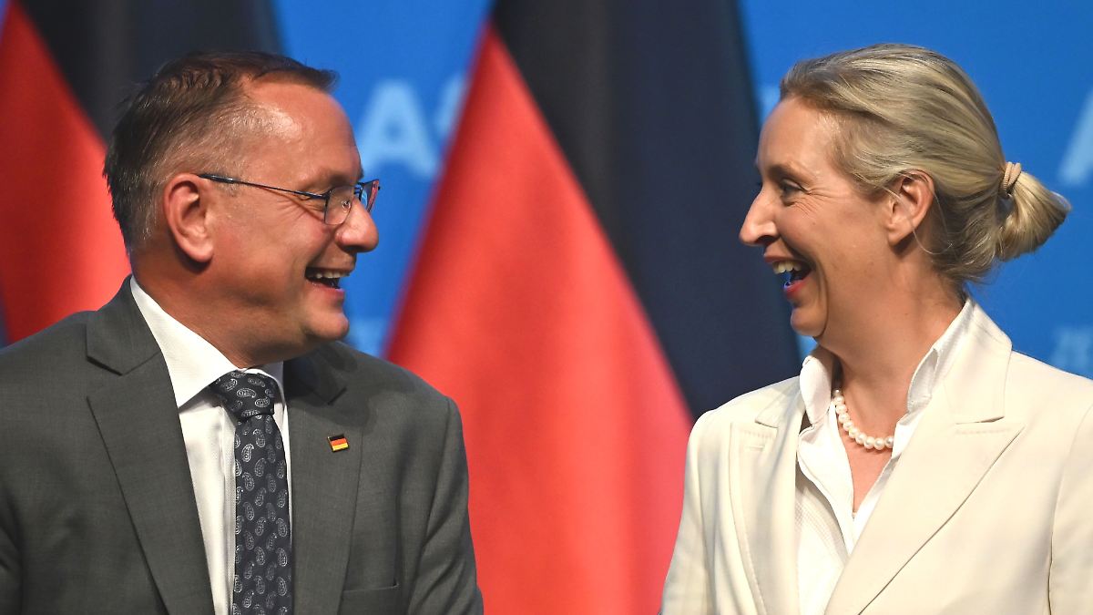 RTL/ntv Trendbarometer: AfD back at record high, lead over CDU/CSU larger ...