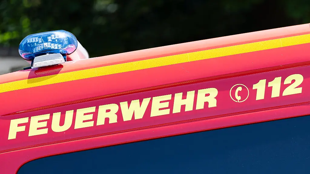 Bei-einem-Feuer-in-einem-Rinderstall-wurden-50-Tiere-getoetet