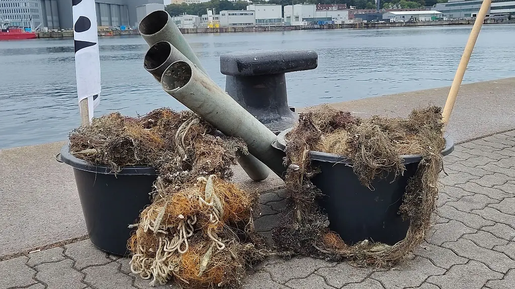 41-verloren-gegangene-Fischereigeraete-wurden-im-Rahmen-des-Pilotprojektes-geborgen-ein-Teil-wurde-an-der-Kieler-Foerde-praesentiert