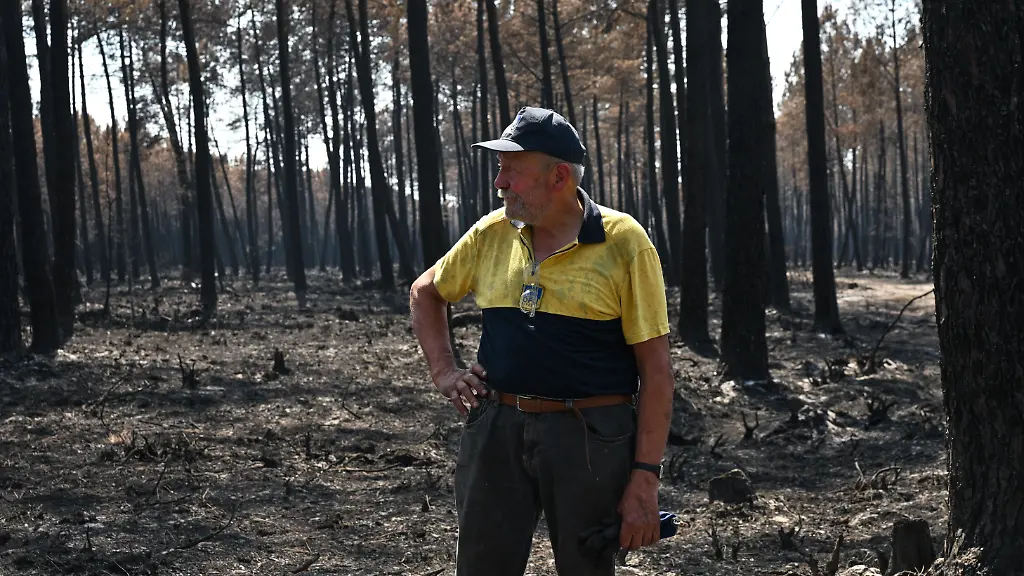 Didier-Monchaux-steht-inmitten-von-verbrannten-Baeumen-auf-seinem-Gelaende-in-Lanton-in-der-Region-Gironde-Ein-Grossteil-seiner-Waldflaeche-ist-durch-die-Waldbraende-im-Suedwesten-von-Frankreich-zerstoert-worden