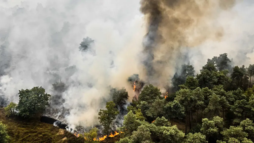 dpatopbilder-03-08-2026-Niederlande-Oostrum-RECROP-Im-Naturschutzgebiet-De-Rosmolen-wuetet-ein-Grossbrand-wie-die-Sicherheitsregion-Limburg-Nord-mitteilte-Aufgrund-der-anhaltenden-Trockenheit-konnte-sich-das-Feuer-rasant-ausbreiten