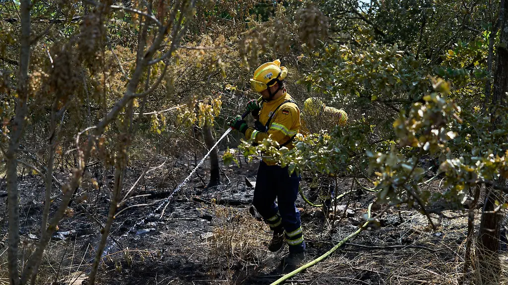 Ein-Feuerwehrmann-bekaempft-Glutnester-im-Gebiet-am-Rotenfels-im-Kreis-Bad-Kreuznach-2026-koennte-in-Sachen-Waldbrand-zum-Rekordjahr-fuer-Rheinland-Pfalz-werden