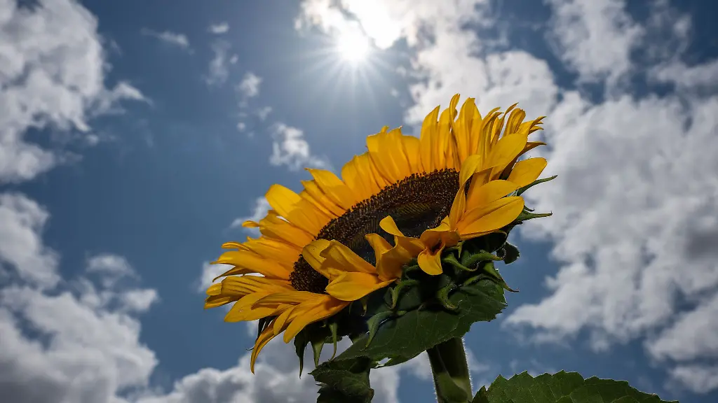 Das-Wetter-bleibt-sommerlich-und-es-ist-nicht-mehr-ganz-so-heiss