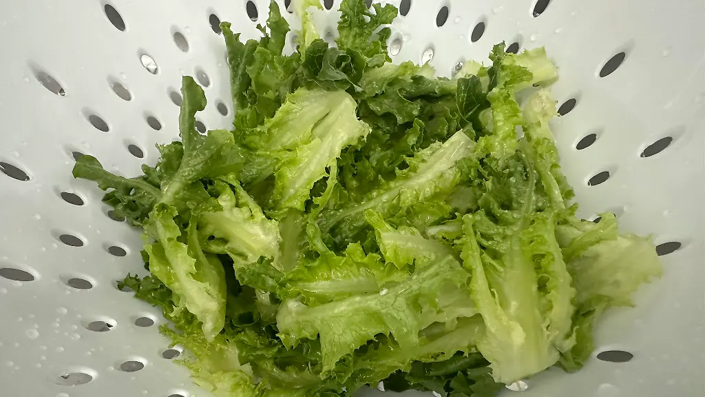 JULY-17-2026-Fresh-lettuce-is-washed-in-a-colander-Health-officials-investigate-a-multistate-outbreak-of-cyclosporiasis-linked-to-shredded-iceberg-lettuce-The-Cyclospora-parasite-can-cause-gastrointestinal-illness-including-diarrhea-stomach-cramps-and-nausea-This-image-is-a-representative-photo-and-does-not-depict-recalled-lettuce